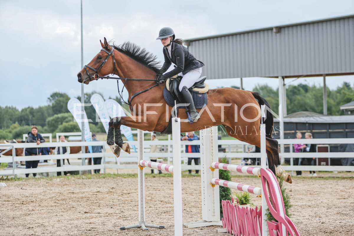 NHTS_2026_12_115cm_231