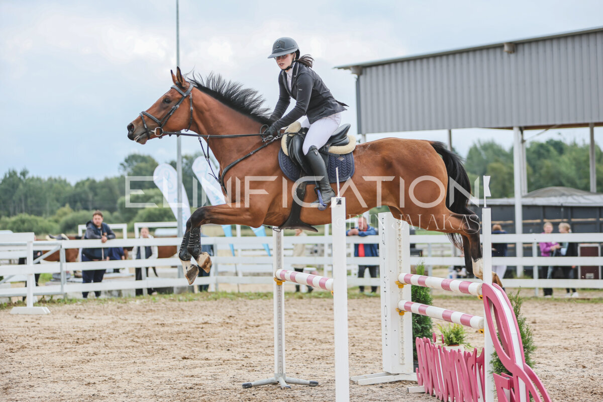NHTS_2026_12_115cm_232