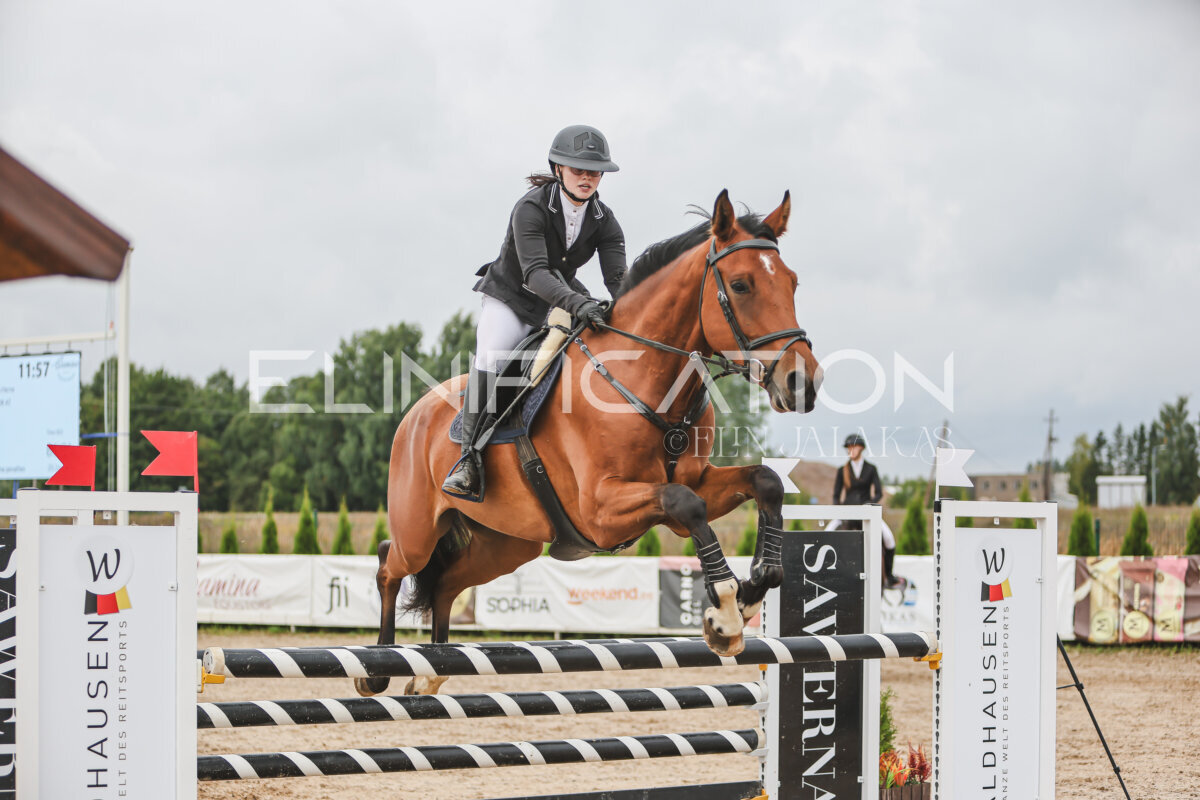 NHTS_2026_12_115cm_233