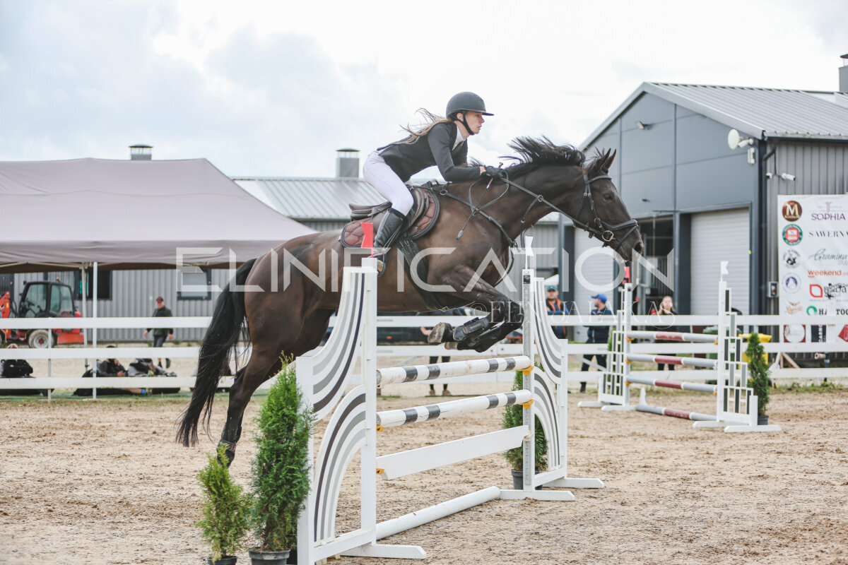 NHTS_2026_12_115cm_237