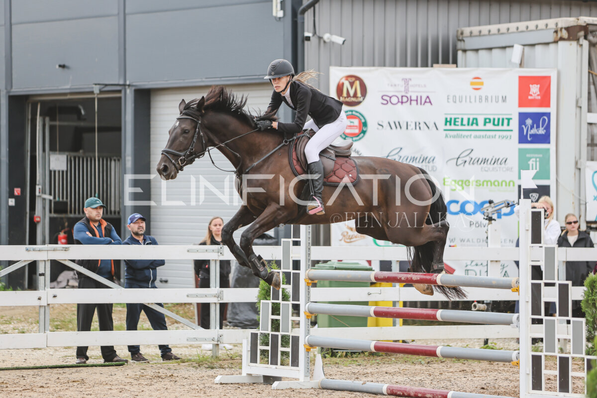 NHTS_2026_12_115cm_241