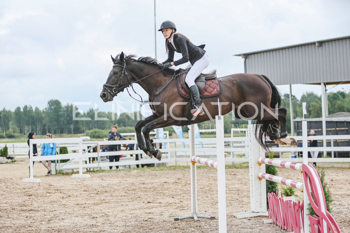 NHTS_2026_12_115cm_245