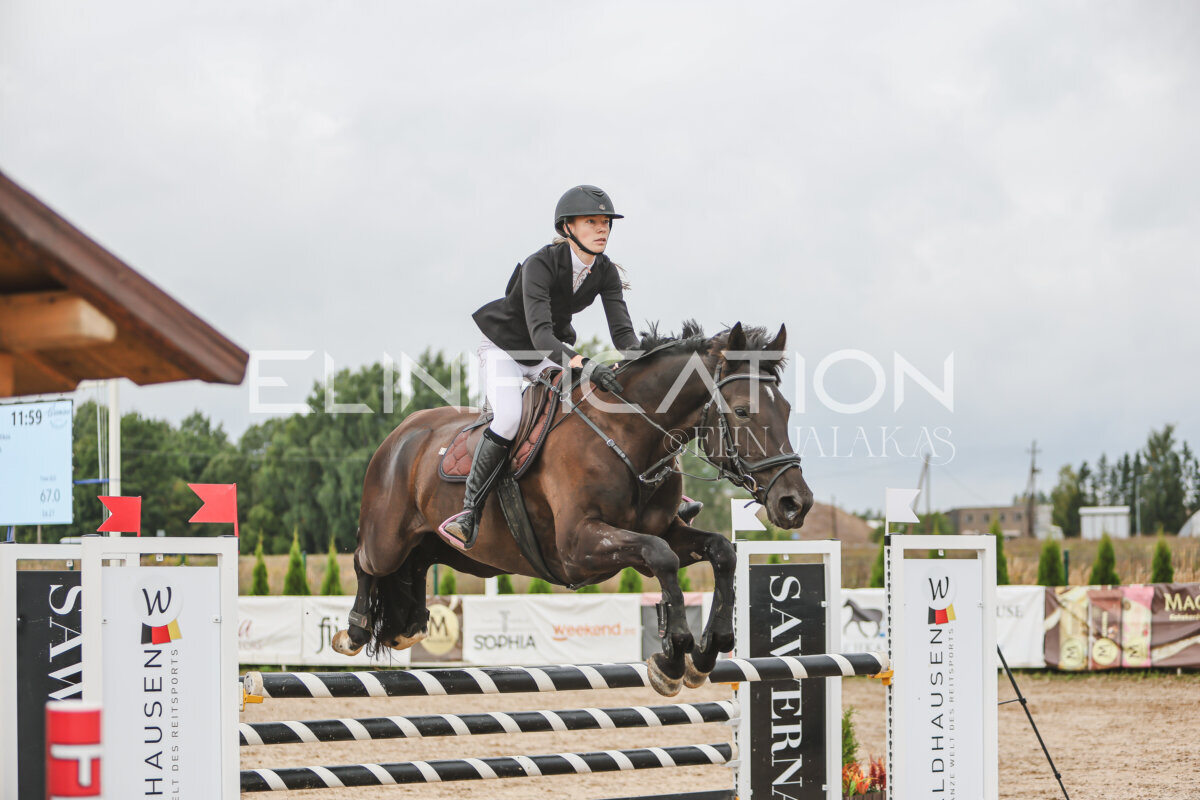 NHTS_2026_12_115cm_246
