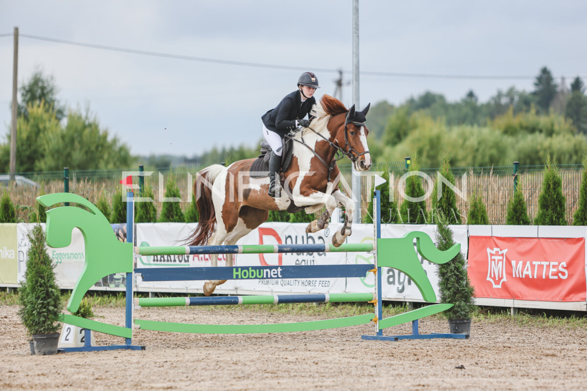 NHTS_2026_12_115cm_248