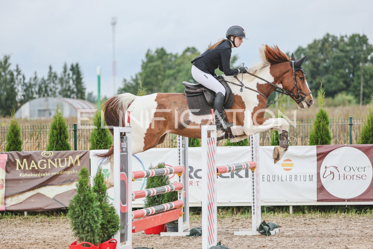 NHTS_2026_12_115cm_251