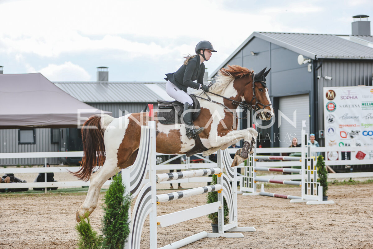 NHTS_2026_12_115cm_253