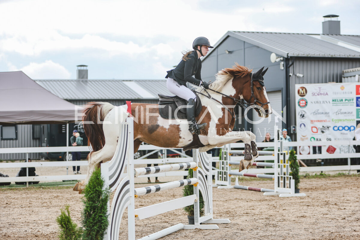 NHTS_2026_12_115cm_254
