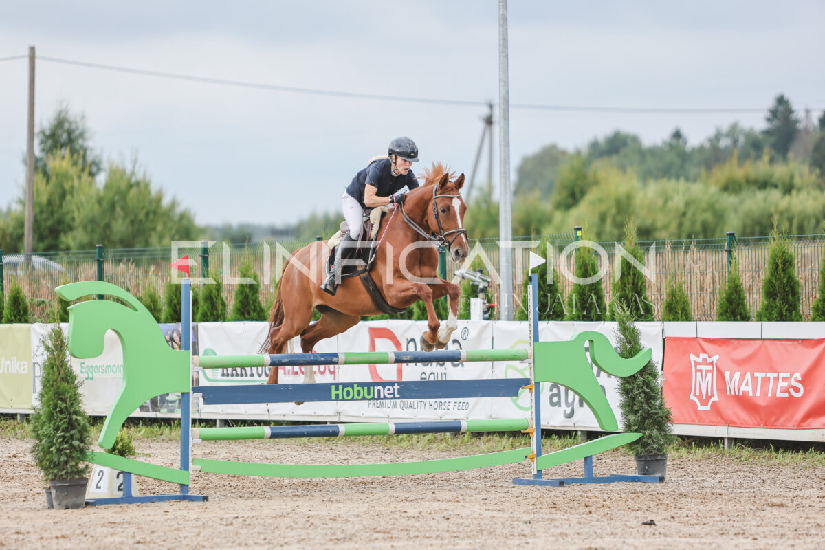 NHTS_2026_12_115cm_264