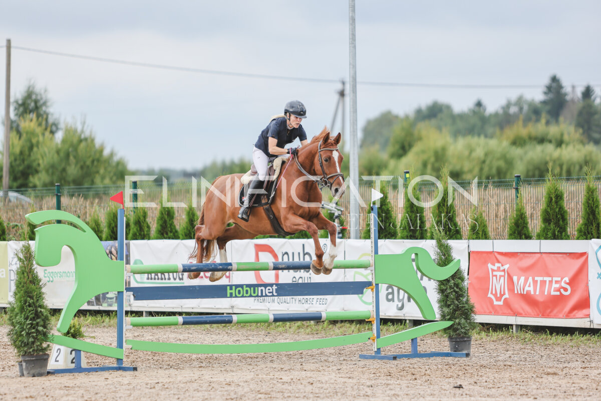 NHTS_2026_12_115cm_265
