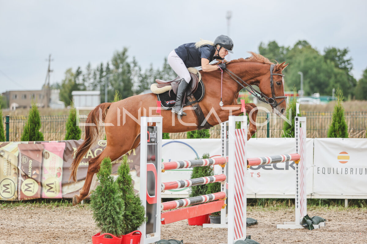 NHTS_2026_12_115cm_266