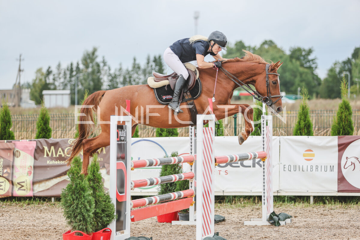 NHTS_2026_12_115cm_267
