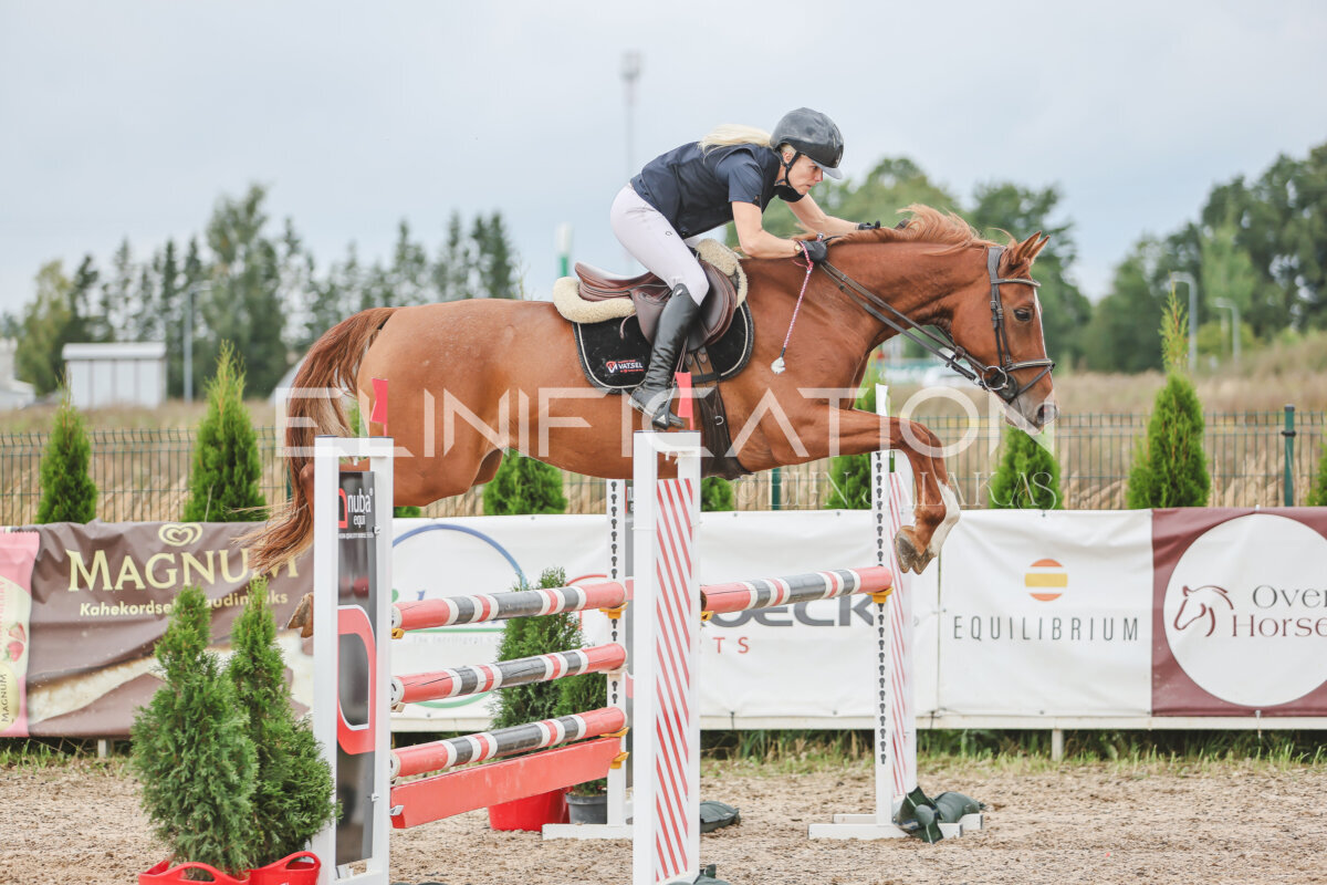 NHTS_2026_12_115cm_268