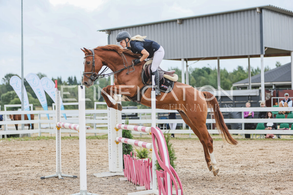 NHTS_2026_12_115cm_269