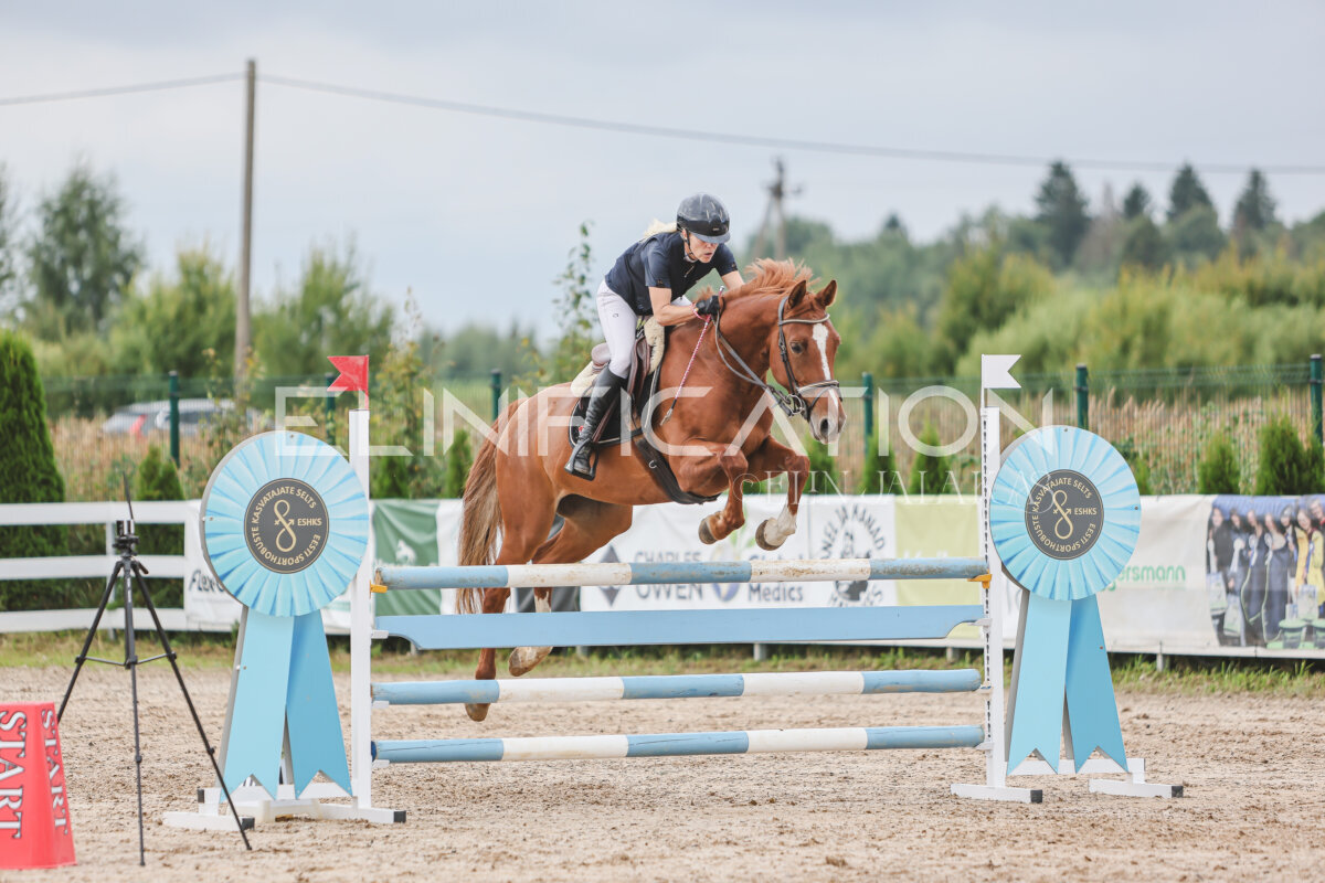 NHTS_2026_12_115cm_275