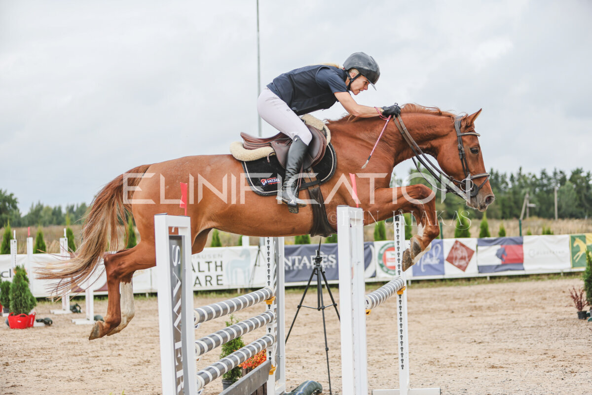 NHTS_2026_12_115cm_277