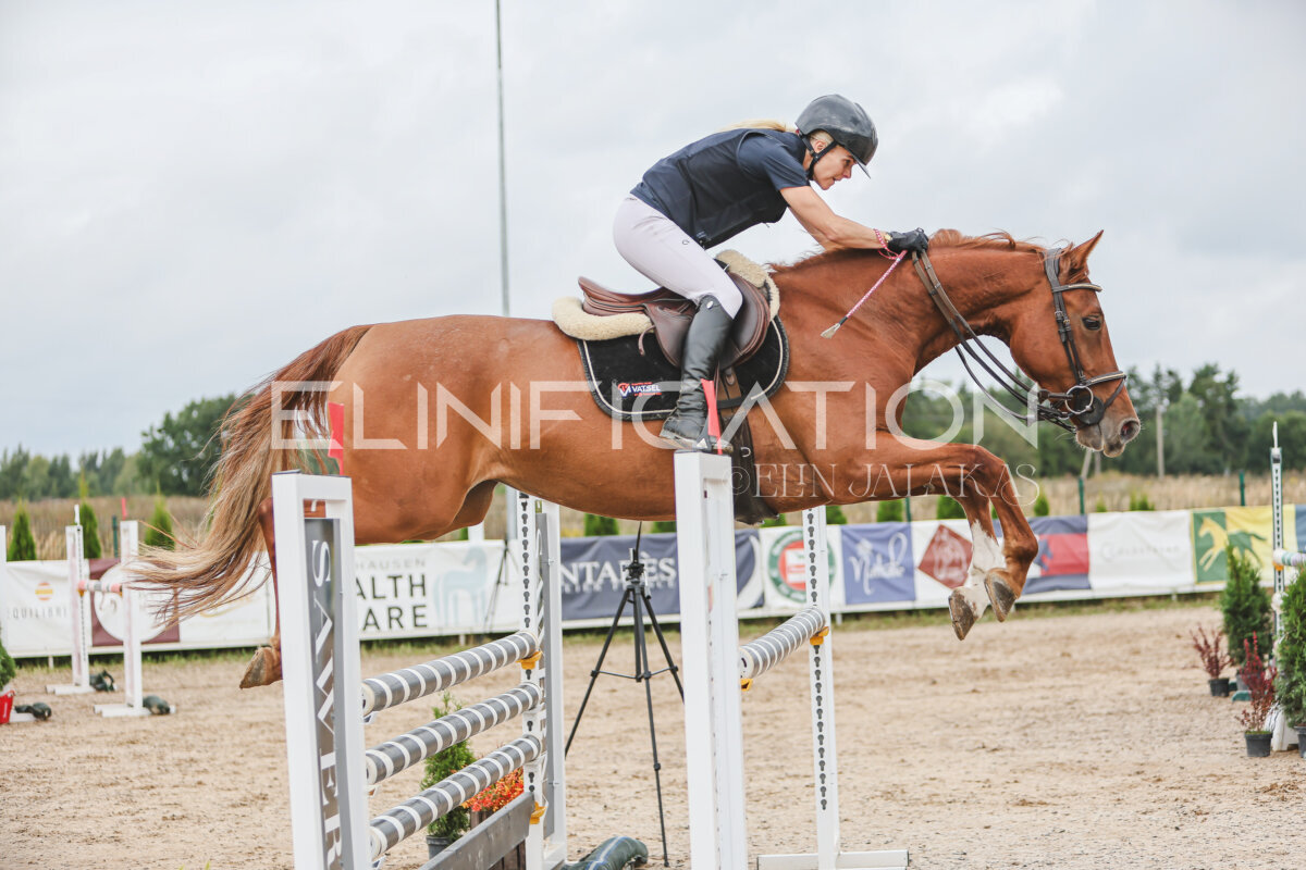 NHTS_2026_12_115cm_278