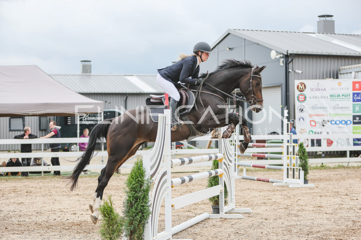 NHTS_2026_12_115cm_332