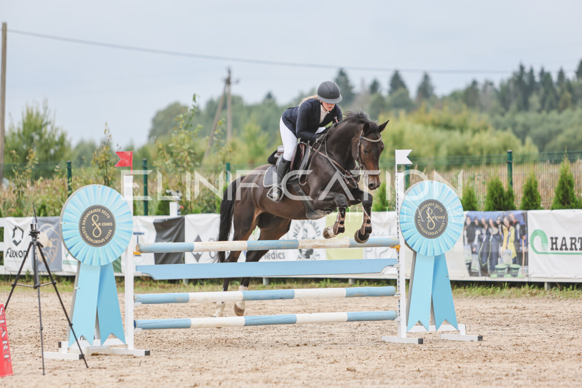 NHTS_2026_12_115cm_337