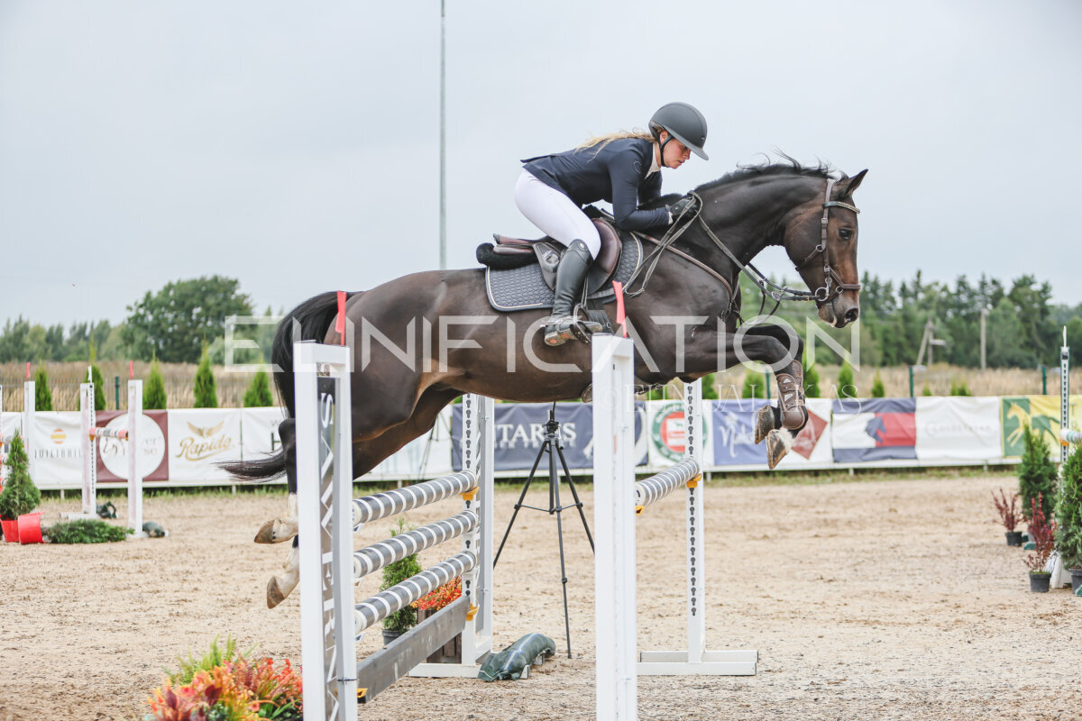 NHTS_2026_12_115cm_340