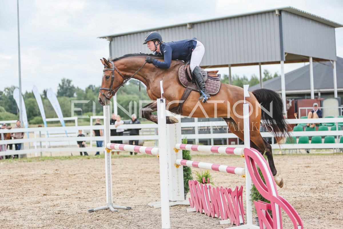 NHTS_2026_12_115cm_348