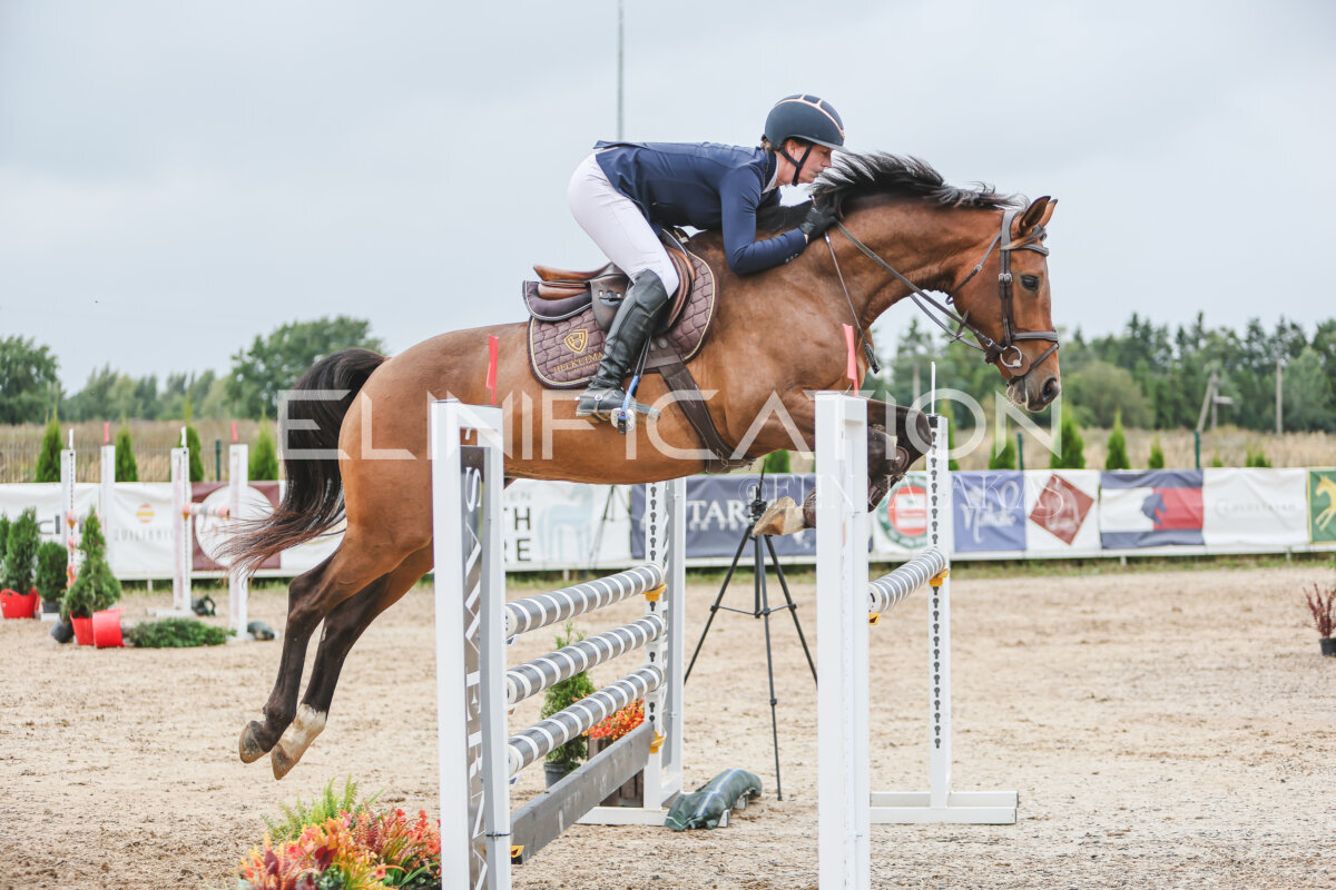 NHTS_2026_12_115cm_353