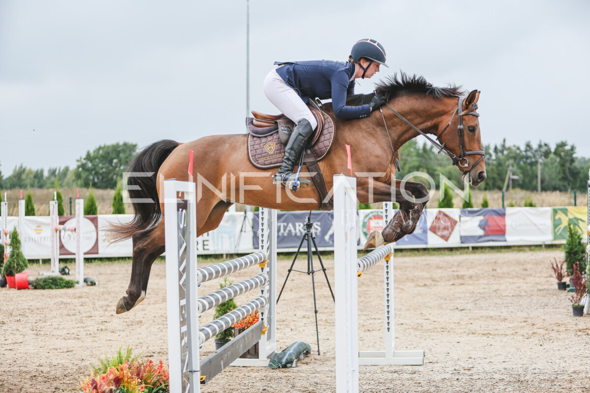 NHTS_2026_12_115cm_354