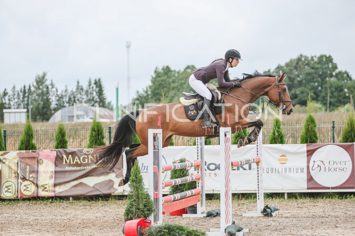 NHTS_2026_12_115cm_357
