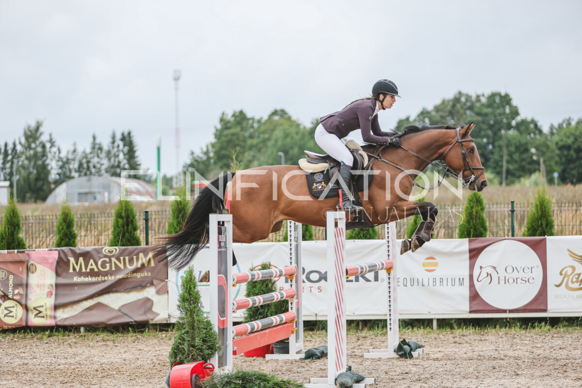 NHTS_2026_12_115cm_358