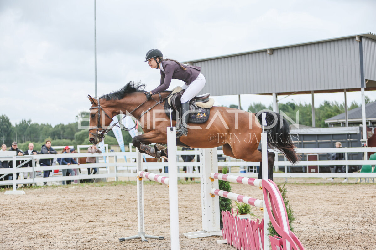 NHTS_2026_12_115cm_362