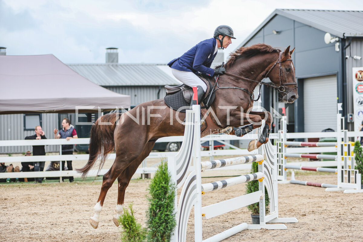 NHTS_2026_12_115cm_365