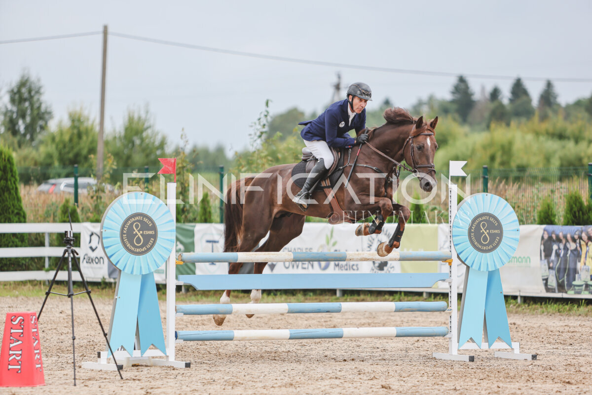 NHTS_2026_12_115cm_368