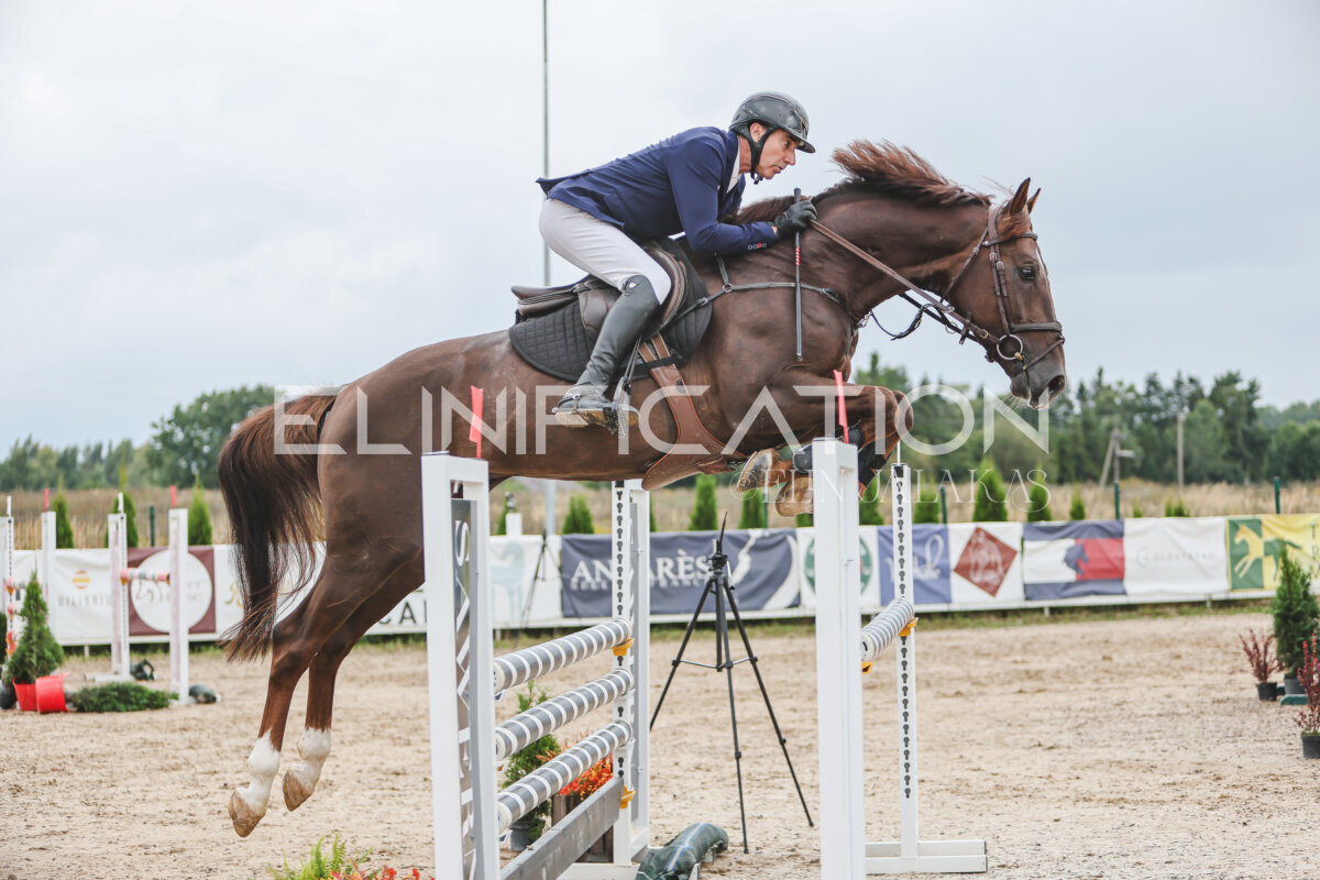 NHTS_2026_12_115cm_370
