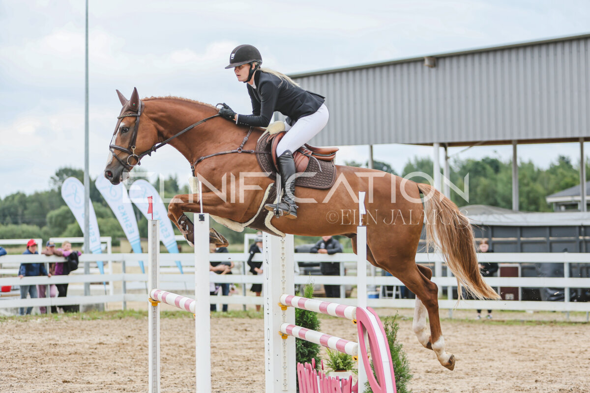 NHTS_2026_12_115cm_378