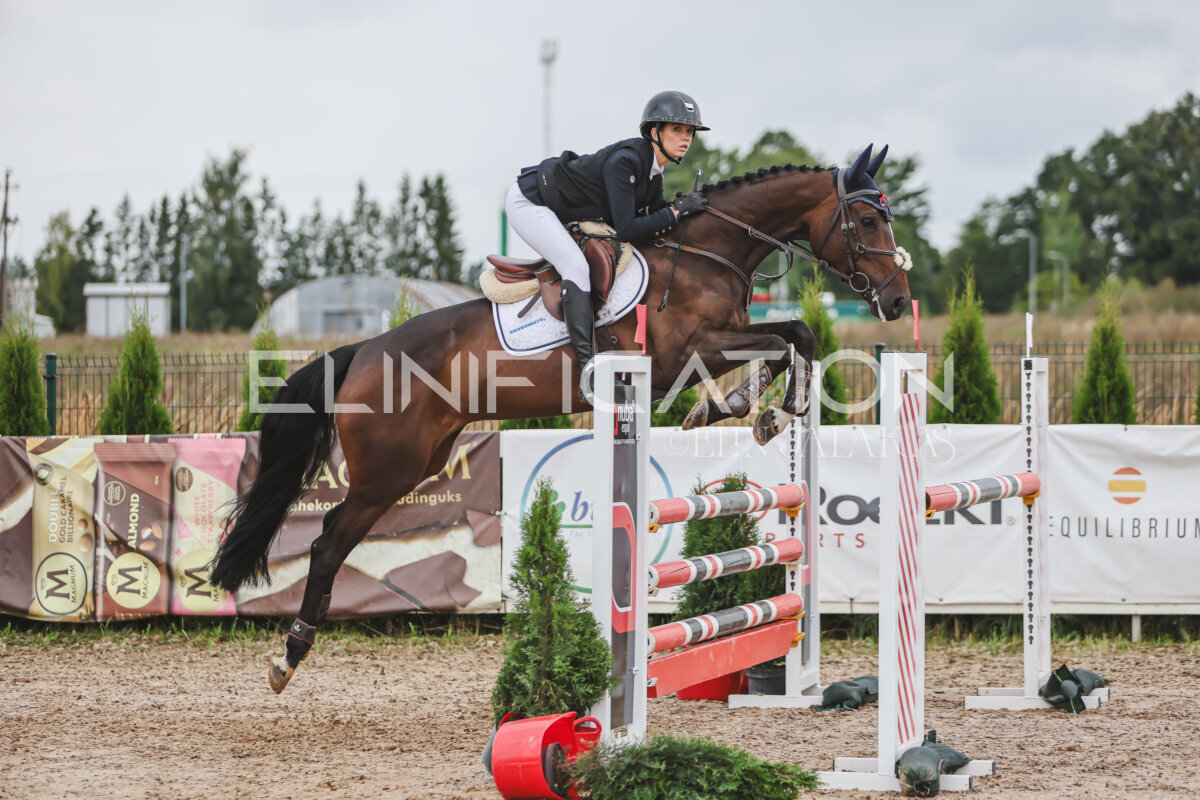 NHTS_2026_12_115cm_385