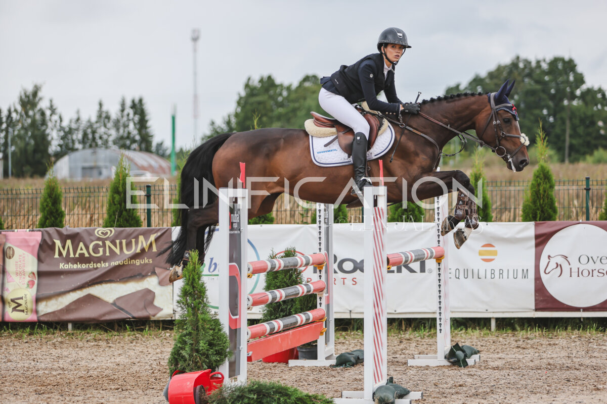 NHTS_2026_12_115cm_388