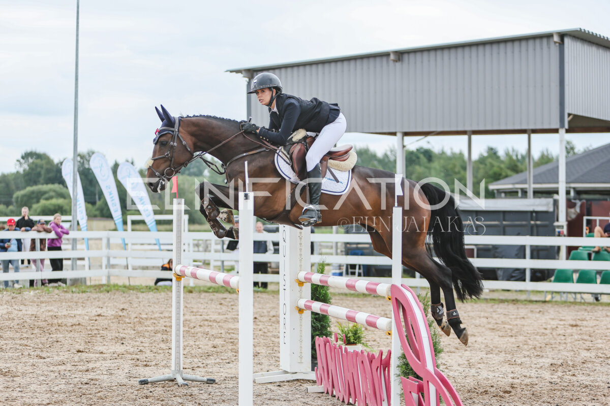NHTS_2026_12_115cm_390