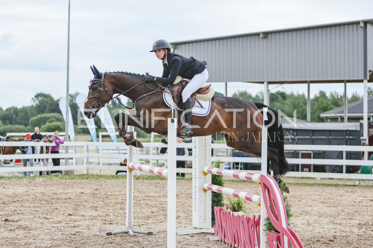 NHTS_2026_12_115cm_391