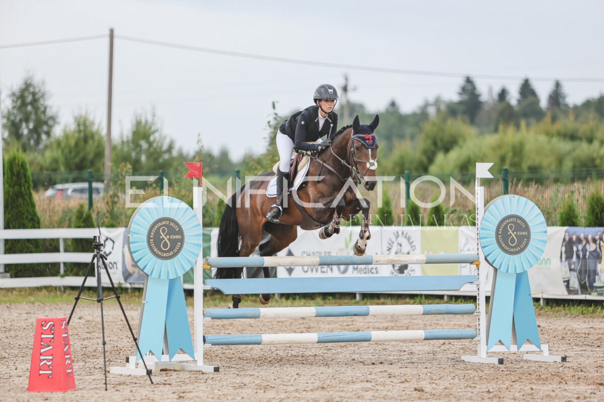 NHTS_2026_12_115cm_393
