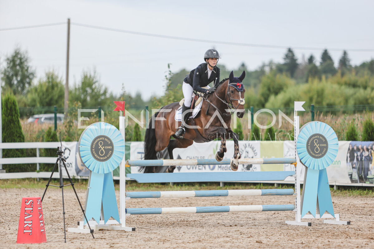 NHTS_2026_12_115cm_394