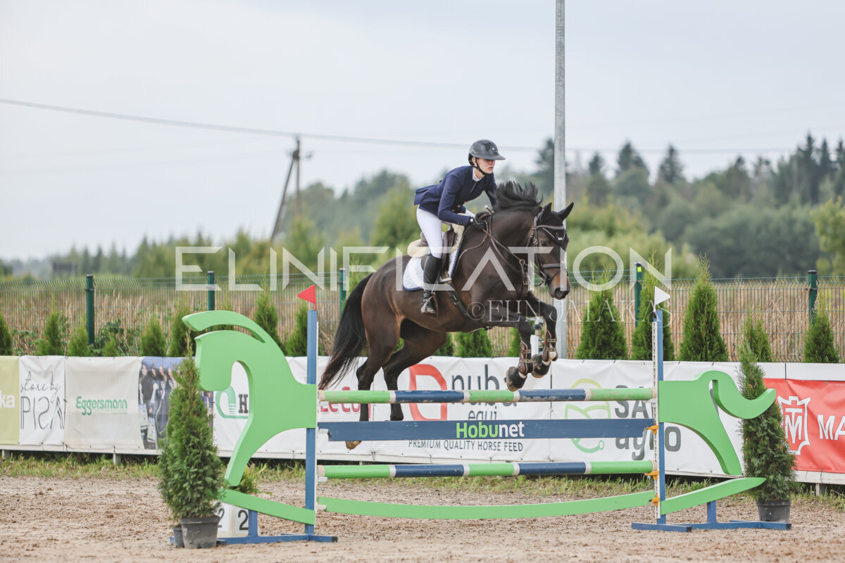NHTS_2026_12_115cm_399