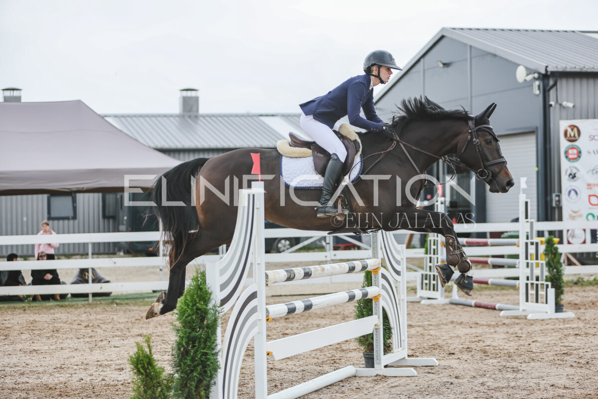 NHTS_2026_12_115cm_404