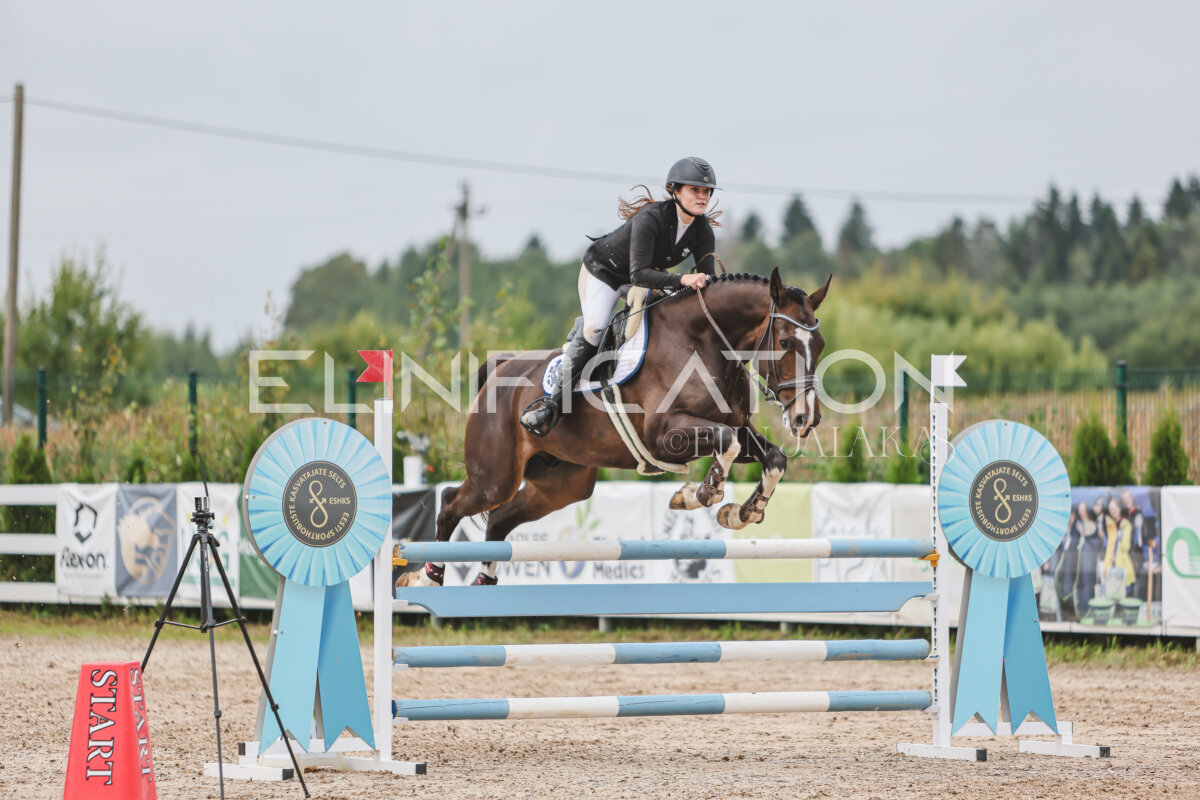 NHTS_2026_12_115cm_443