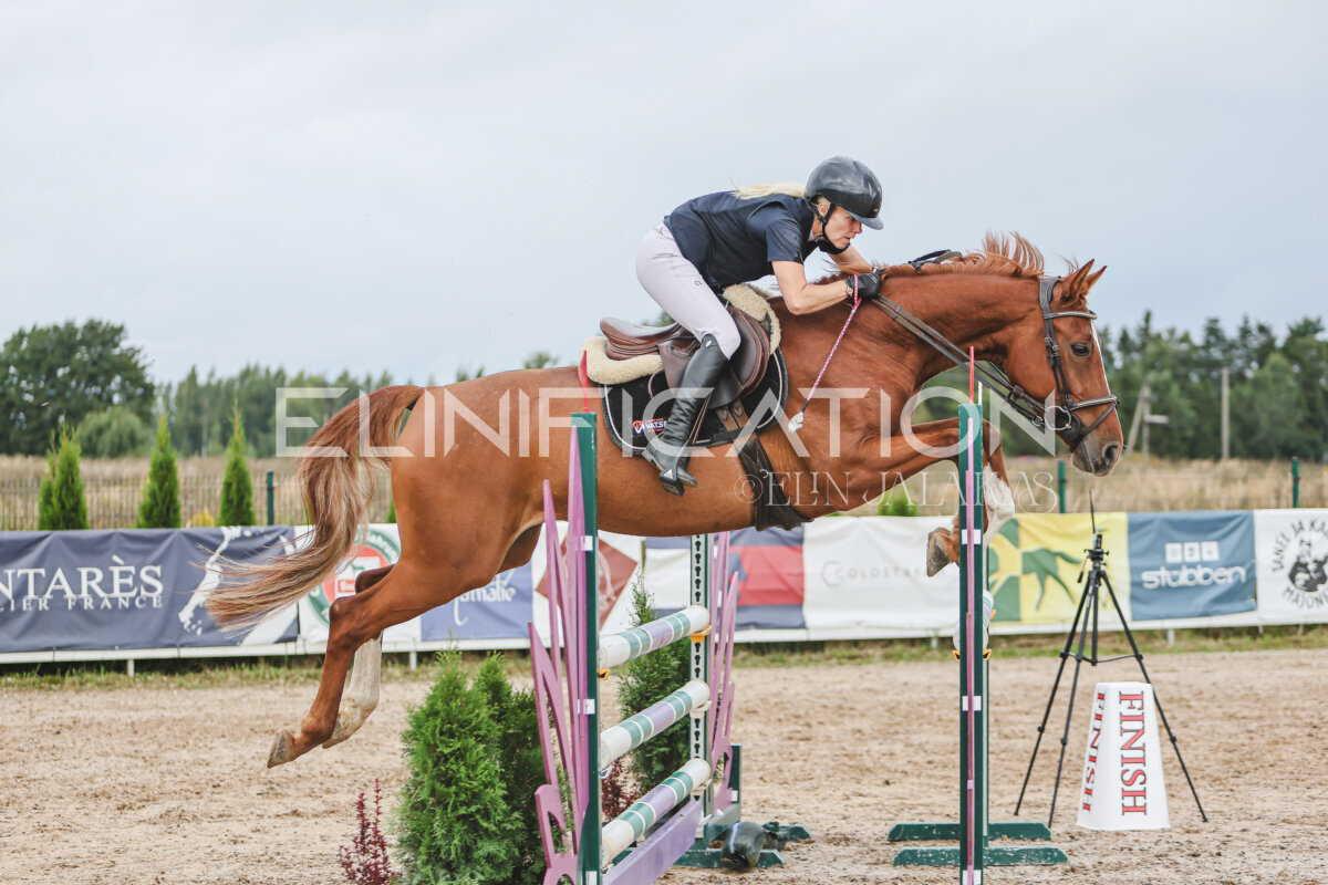 NHTS_2026_12_115cm_453