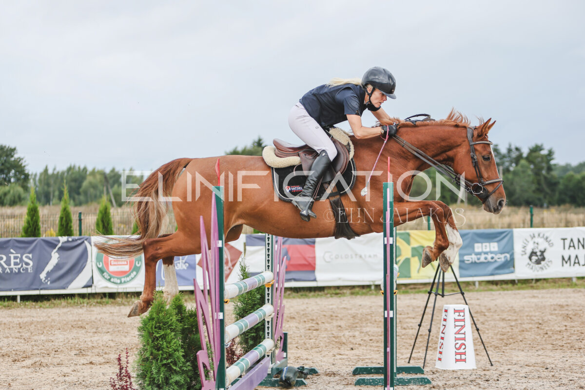 NHTS_2026_12_115cm_454