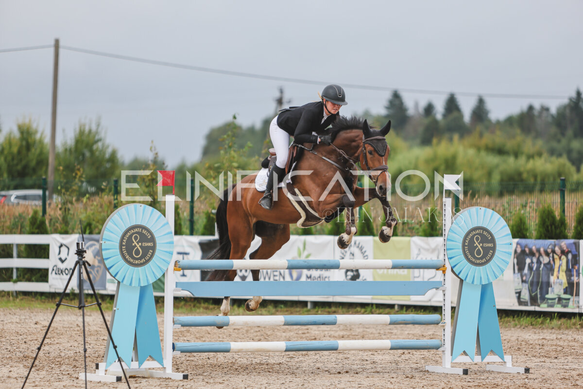 NHTS_2026_12_115cm_463