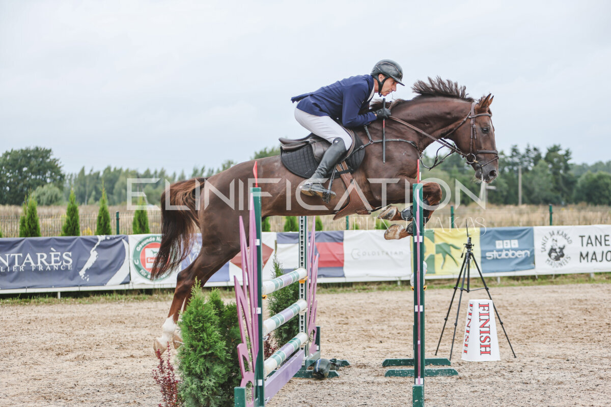 NHTS_2026_12_115cm_465
