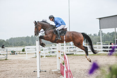 NHTS_2026_13_125cm_003