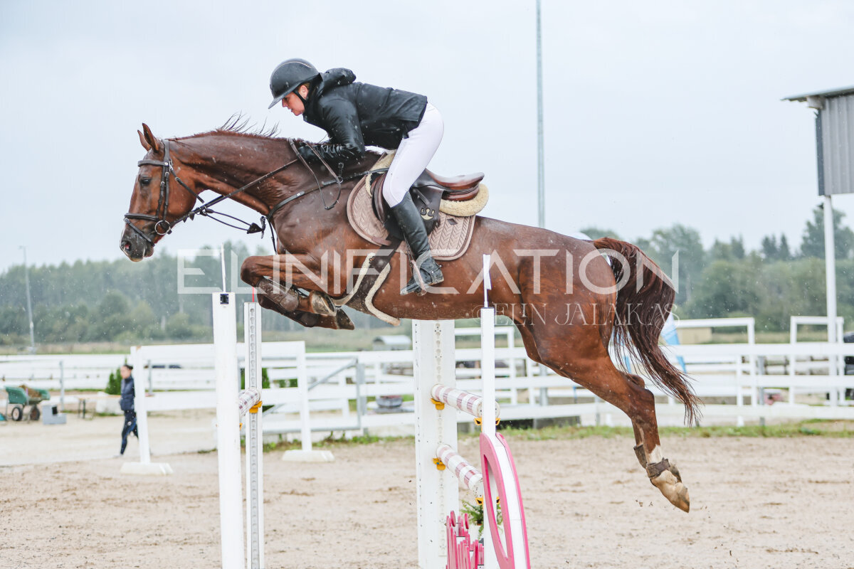 NHTS_2026_13_125cm_075