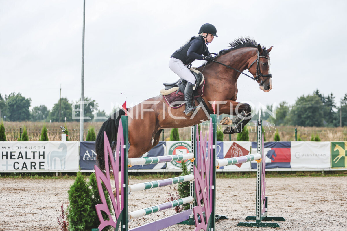 NHTS_2026_13_125cm_103