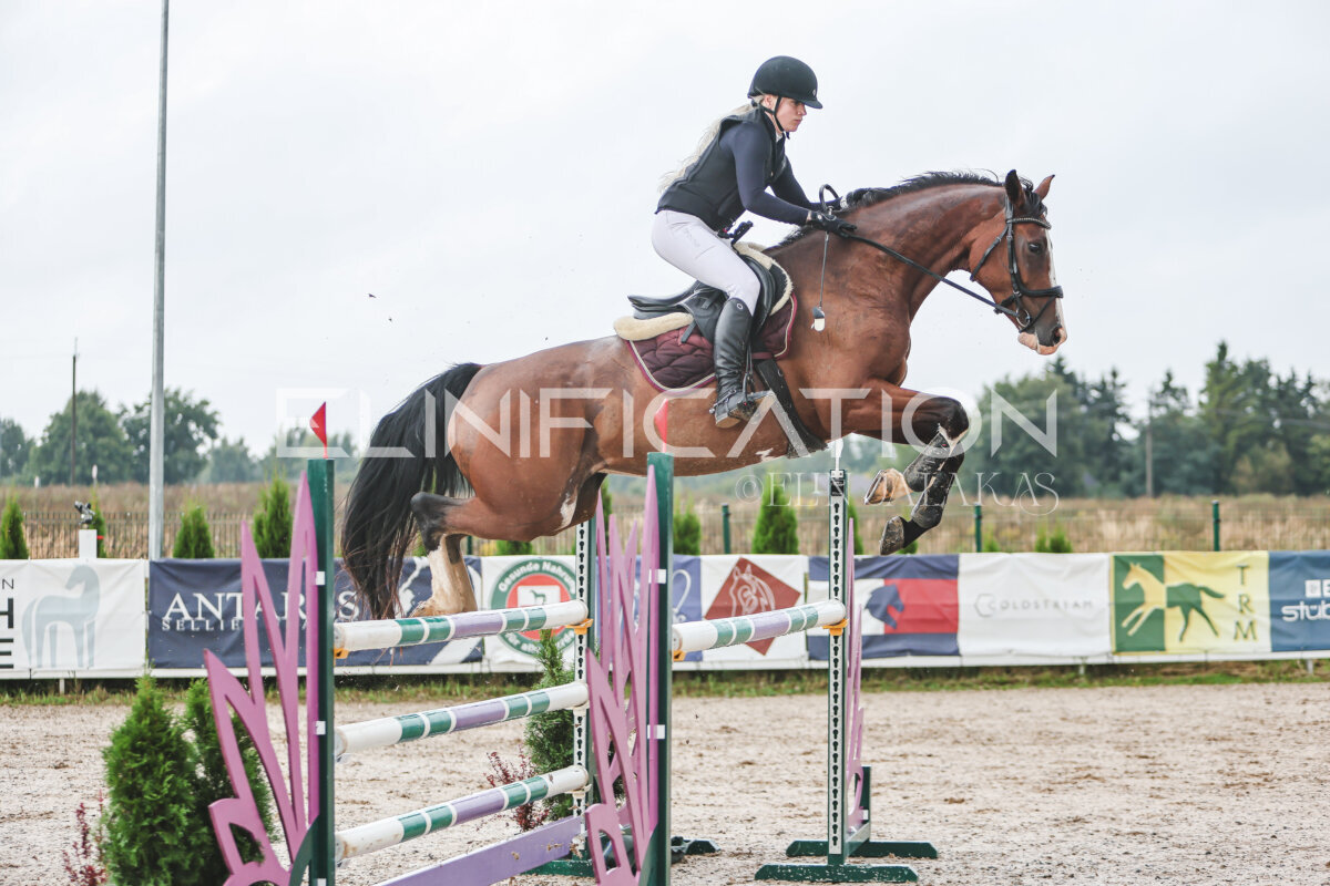 NHTS_2026_13_125cm_105